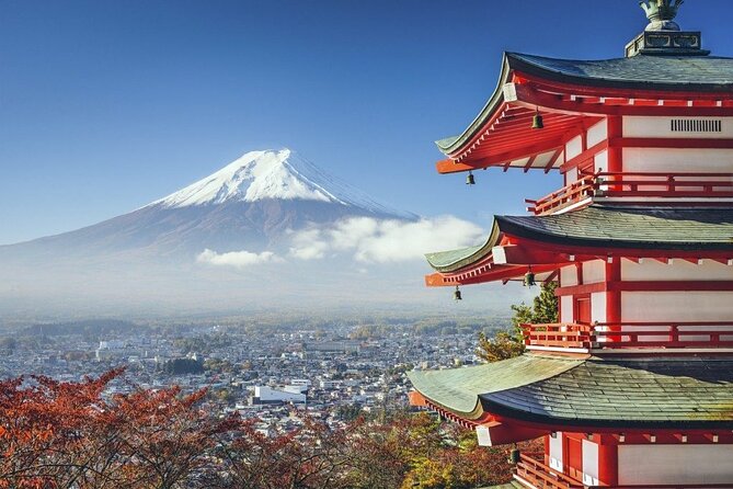 Mt. Fuji Private Tour by Car With Pick-Up From Tokyo - Key Points
