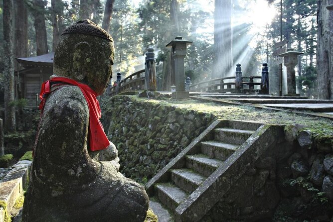 Mt. Koya Sacred Full-Day Private Tour (Osaka Departure) With Licensed Guide - Key Points