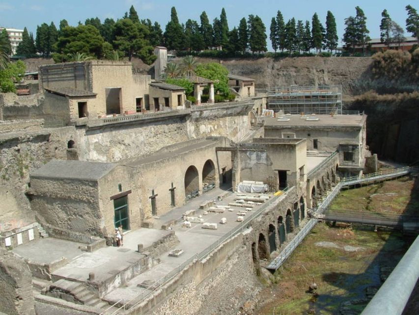 Naples: Pompeii, Vesuvius and Wine Tasting Tour - Just The Basics