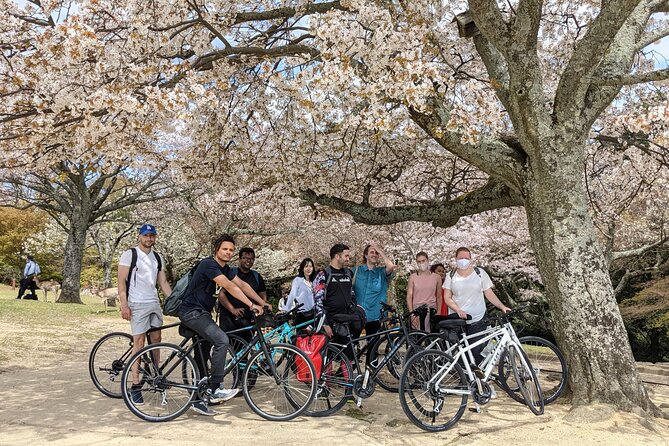 Nara - Heart of Nature Bike Tour - Key Points