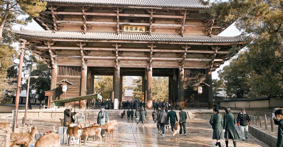 Nara Like a Local: Customized Guided Tour - Key Points