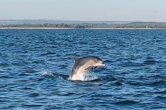 National Park Brijuni Tour From Pula With Dolphins, Sunset&Dinner - Just The Basics