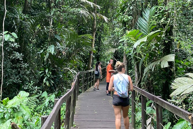 Nature & Forest Therapy Guided Walk in Puerto Viejo - Just The Basics