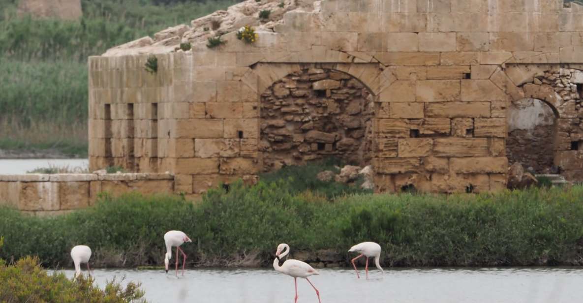 Noto: Guided Trekking and Birdwatching at Vendicari Reserve - Just The Basics