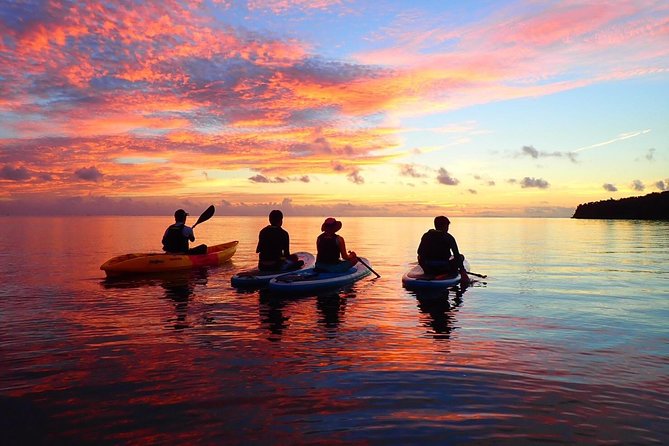 [Okinawa Iriomote] Sunset SUP/Canoe Tour in Iriomote Island - Key Points