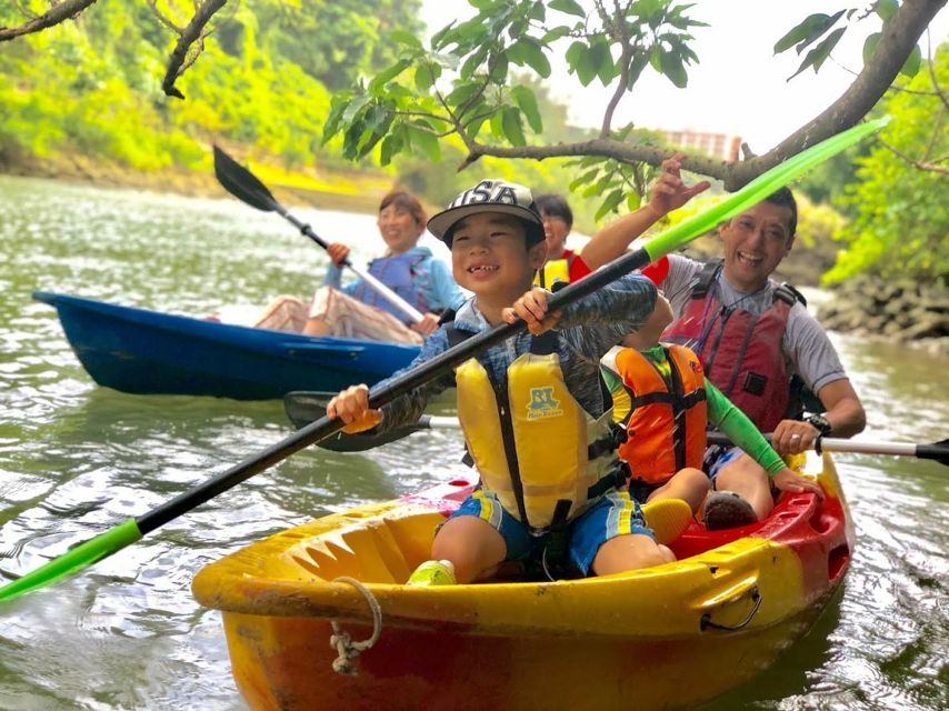 Okinawa: Mangrove Kayaking Tour - Key Points