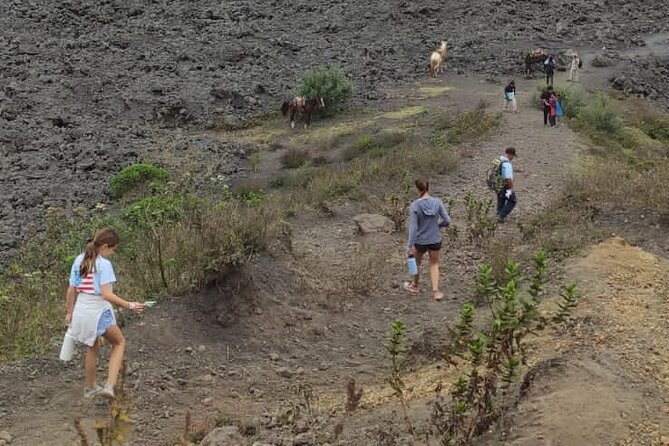 Pacaya Volcano Excursion From Guatemala City
