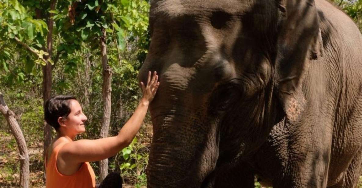 Phnom Tamao Wildlife Center, Buddha Kiri Cambodia Day Tour - Just The Basics