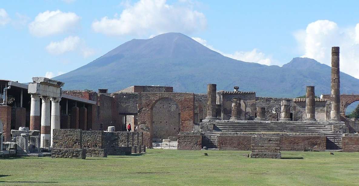 Pompei: Private Tour of Pompeii With Lunch & Wine Tasting - Just The Basics