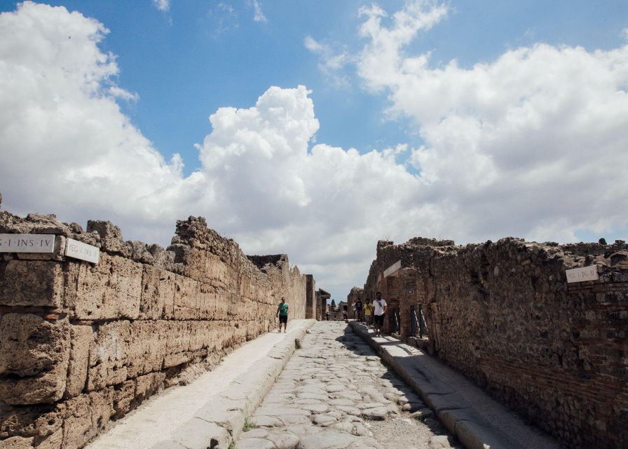 Pompeii: Archaeological Ruins Tour With Lunch & Wine Tasting - Just The Basics