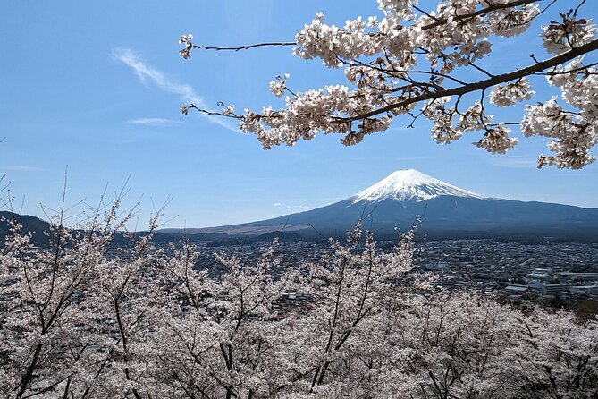 Private Car Tour to Mt. Fuji Lake Kawaguchiko or Hakone Lake Ashi - Key Points