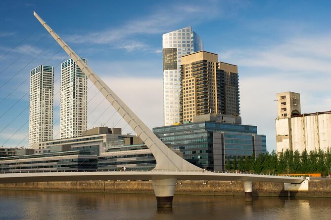 Private City Tour in Buenos Aires Including Lunch in Puerto Madero - Just The Basics
