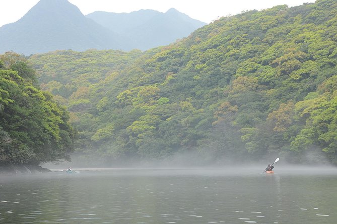 Private Half-Day Kayaking Trip on Kyushus Anbo River  - Kagoshima Prefecture - Key Points