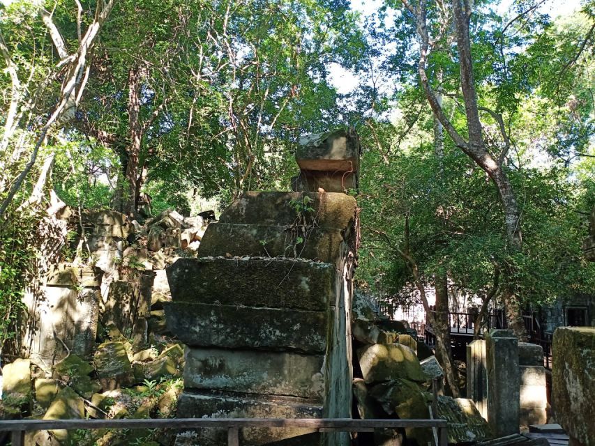 Private One Day Trip-Pyramid Temple Koh Ker and Beng Mealea - Just The Basics