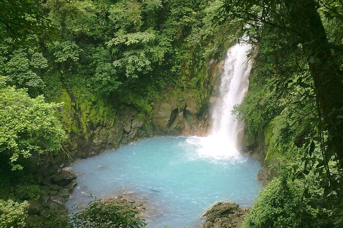 Rio Celeste Waterfall and Sloth Sactuary Private Full-Day Tour With Lunch - Tour Highlights and Itinerary