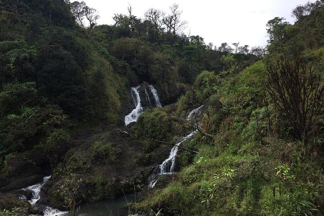 Road to Hana Adventure Tour With Pickup, Small Group - Key Points
