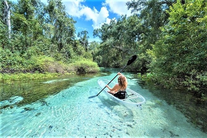 Rock Springs 2-Hour Glass Bottom Guided Kayak Eco Tour - Key Points