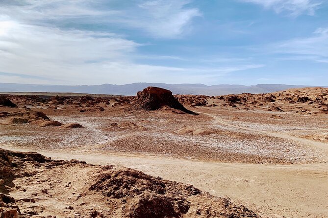 Secrets of the Desierto: Valley of the Moon and Discovery - Tour Highlights