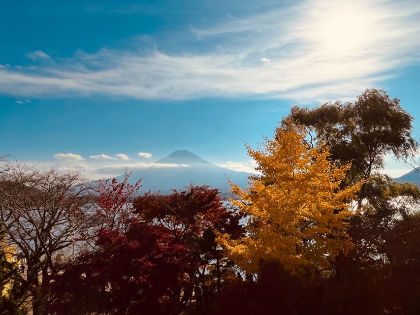 Shinjuku: Mount Fuji Panoramic View and Shopping Day Tour - Key Points