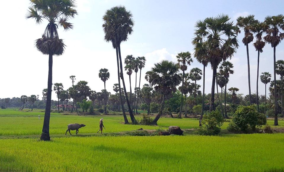 Siem Reap: 6-Hour Easy Rider Motorbike Tour - Just The Basics