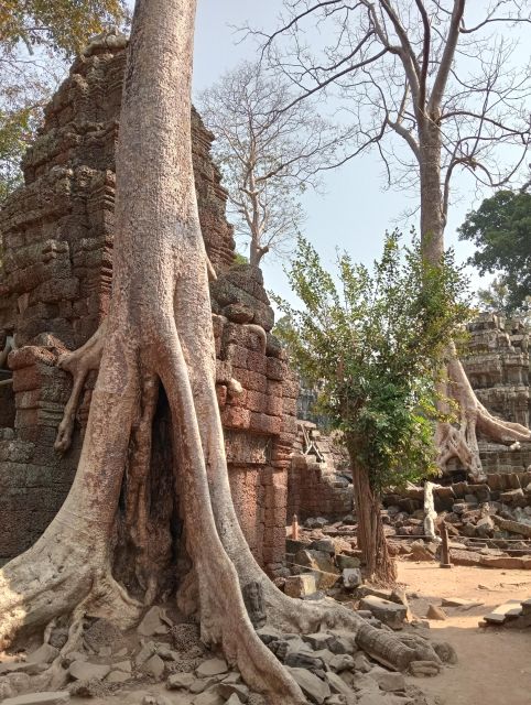 Siem Reap: Angkor 1 Day With a Russian-Speaking Guide - Just The Basics