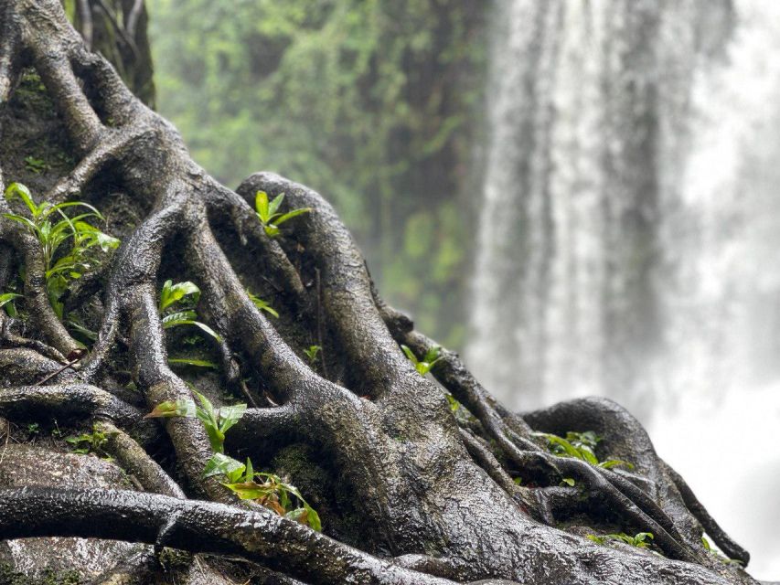 Siem Reap: Kulen Waterfall and 1000 Linga River Tour - Just The Basics