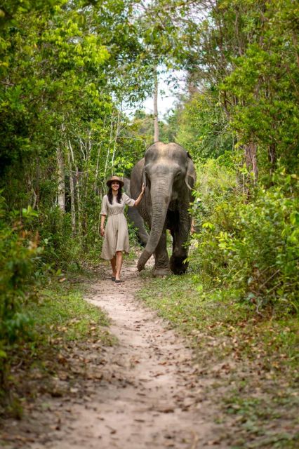 Siem Reap: Small Group Tour of Kulen Elephant Forest - Just The Basics