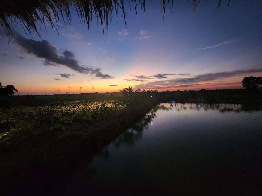 Siem Reap Sunset Dinner Tour at Rice Paddy Fields - Just The Basics