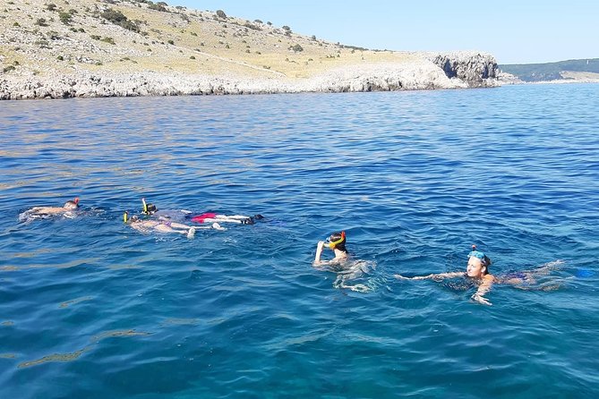 Snorkeling Trip - Crikvenica/ Krk Island - Just The Basics