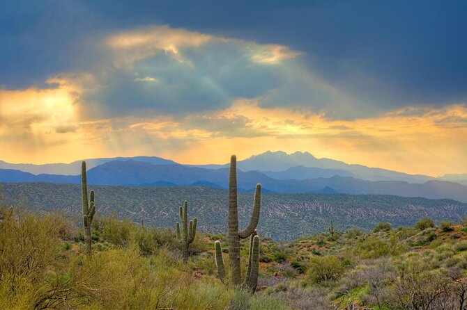 Sonoran Desert Jeep Tour at Sunset - Key Points