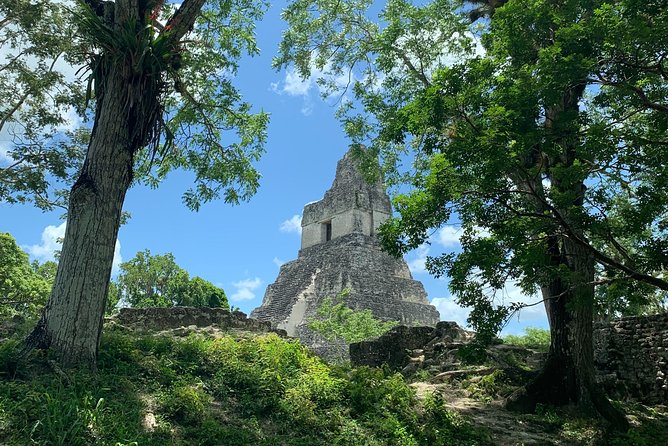Tikal Shared Experience: Flight One Day Tour From Antigua - Just The Basics