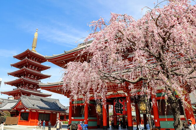 Tokyo Full-Day Sightseeing Tour by Coach With Lunch Option - Key Points