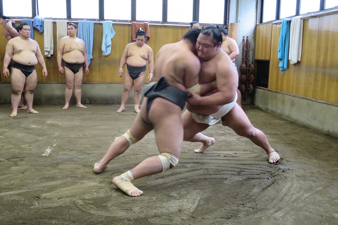 Tokyo Sumo Early-Morning Practice Tour in Ryogoku - Key Points