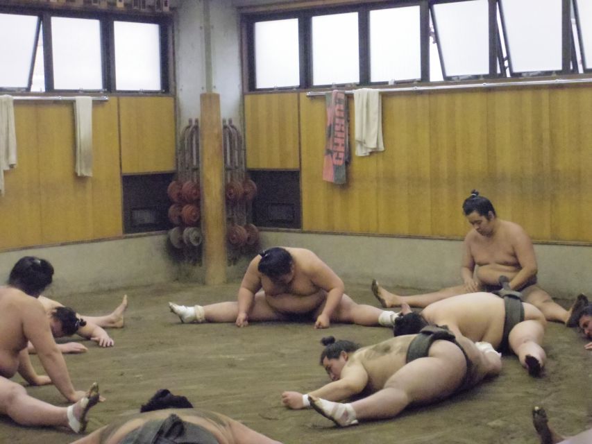 Tokyo: Sumo Morning Practice Viewing Tour - Key Points
