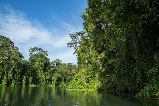 Tortuguero Canal Tour by Canoe - Just The Basics