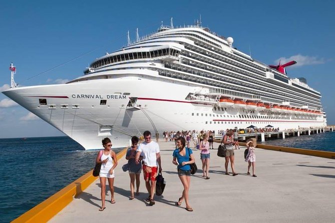 Transfer Private Hotel to Cruise Ship in Puerto San Antonio or Valparaiso - Just The Basics