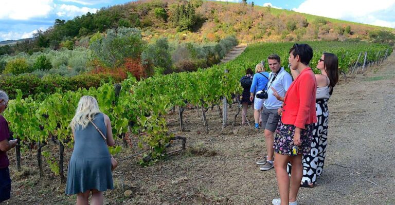 Tuscany: Small-Group Chianti Wine Tour With Lunch