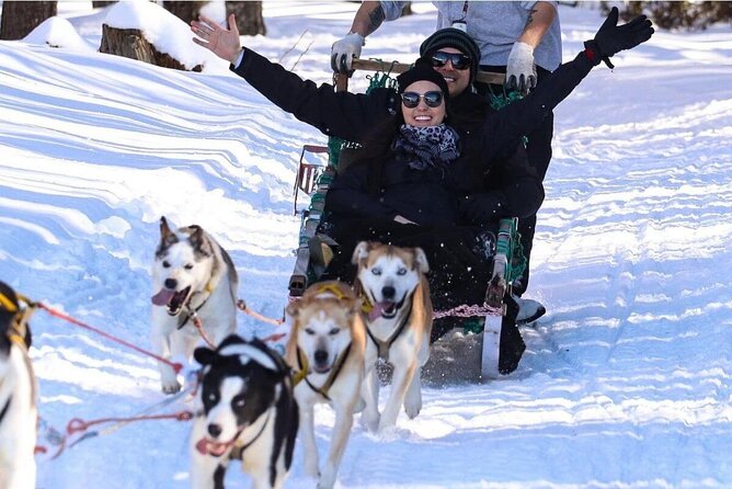 Ushuaia: Full Day Snow: Sledding With Huskies Snowmobile 4x4 - Just The Basics