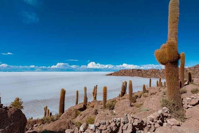 Uyuni Salt 1 Day Tour With Guide in English