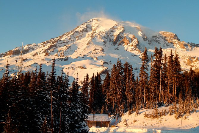 Viator Exclusive Day-Tour From Seattle to Mt. Rainier - Key Points