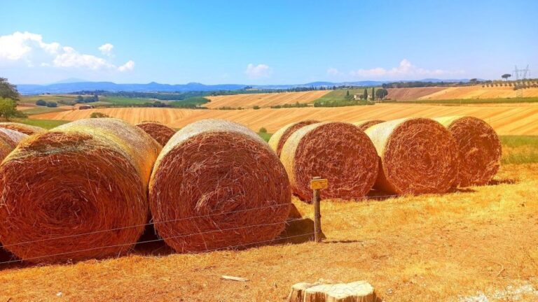 Visit Siena and San Gimignano With Lunch at a Family Farm
