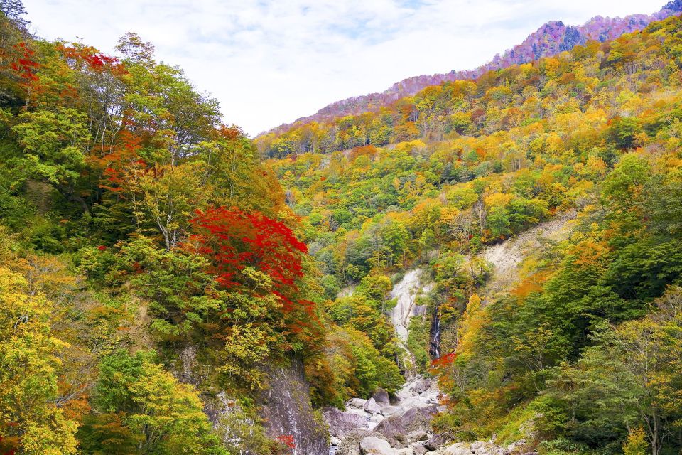 Welcome to Nagano: Private Tour With a Local - Key Points
