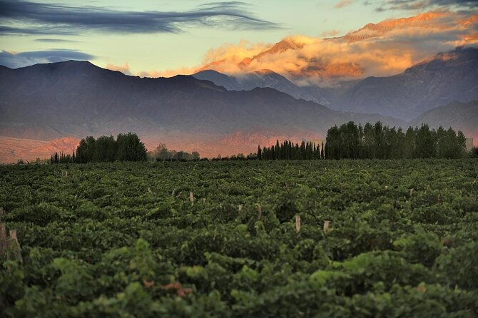 Wine & Culture of Argentina & Chile - Just The Basics