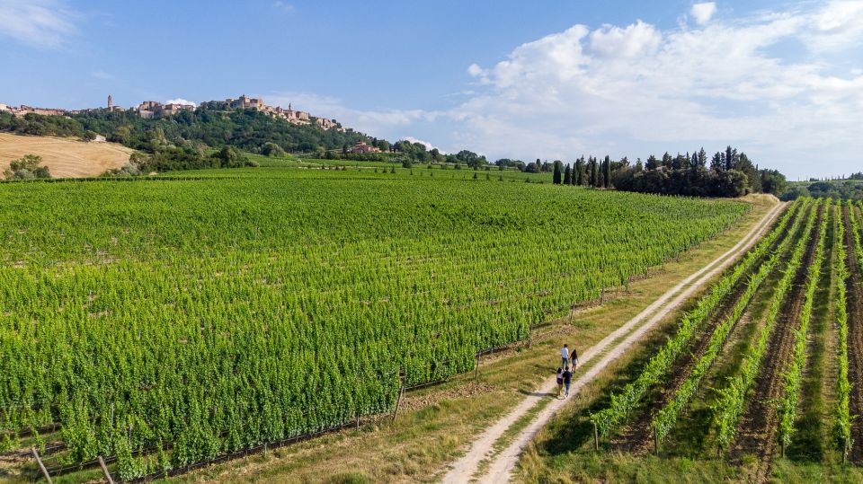 Wine Lovers Experience in Montepulciano: Half Day - Just The Basics
