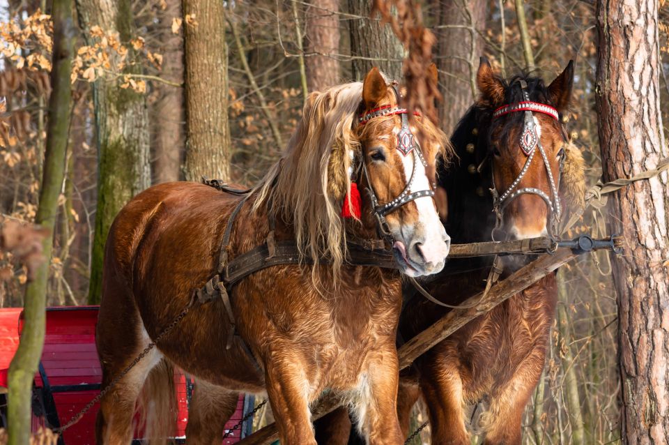 Zakopane: Horse-Drawn Rides With Local Guide & Food Tasting - Just The Basics