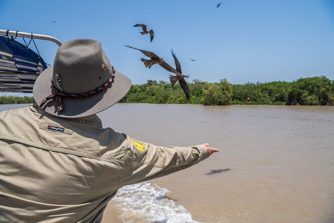 1 Hour Jumping Crocodile Cruise on the Adelaide River - Key Points