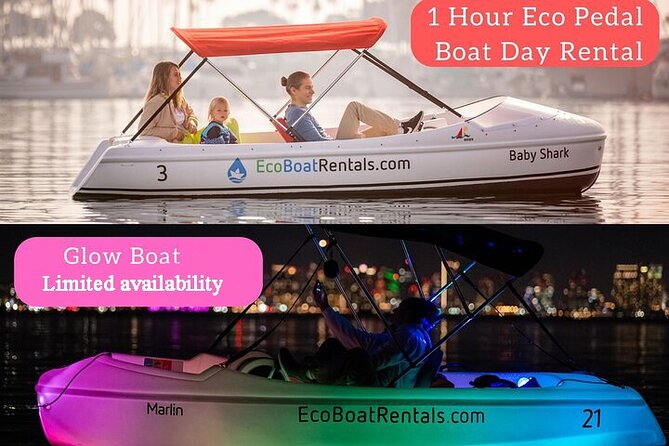 1 Hour Pedal Boat Rental in San Diego: Day or Night Glow Options - Key Points