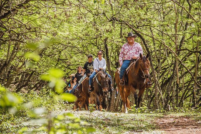 1 Hour Scenic Horseback Ride - Key Points