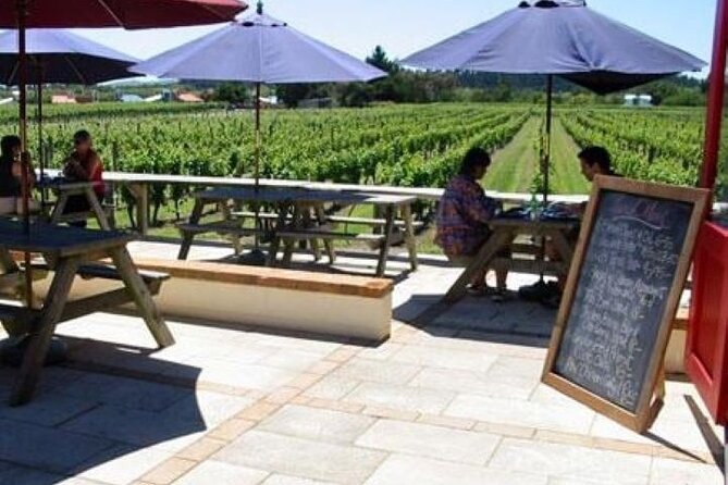 1/2 Day Martinborough Private Chefs Wine Tastings Tour With Lunch