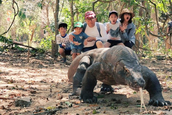 1 Day Komodo Trip By Shared Luxury Fast Boat - Tour Highlights